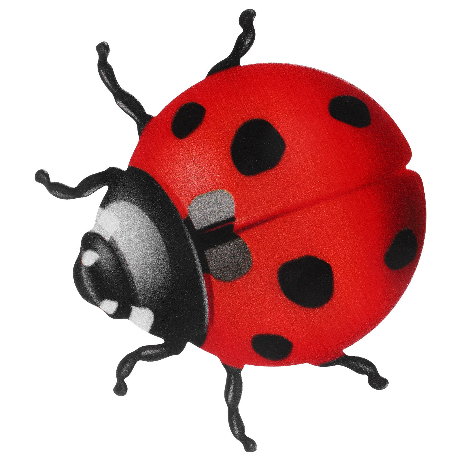 Art Craft Ladybug - Lifelike Iron Ladybug Wall Hanging Decor