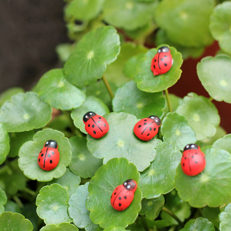 100pcs Mini Ladybugs Wood Craf - Art Craft Ladybug reseña y precio