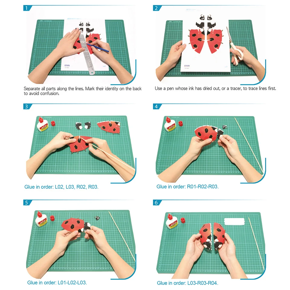 Ladybug Insect Origami Art Min - Art Craft Ladybug reseña y precio
