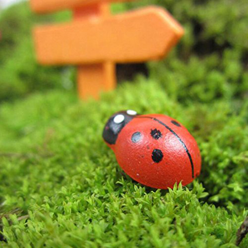 100pcs Self-adhesive Mini Refr - Art Craft Ladybug reseña y precio
