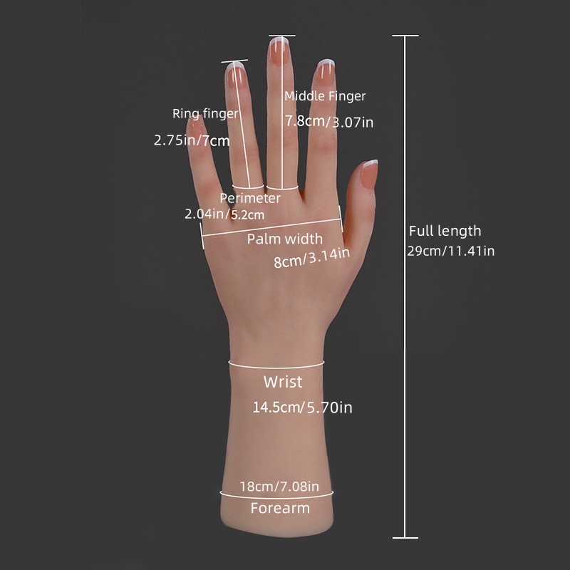 Realistic Silicone Replica of  - Art Craft Display reseña y precio