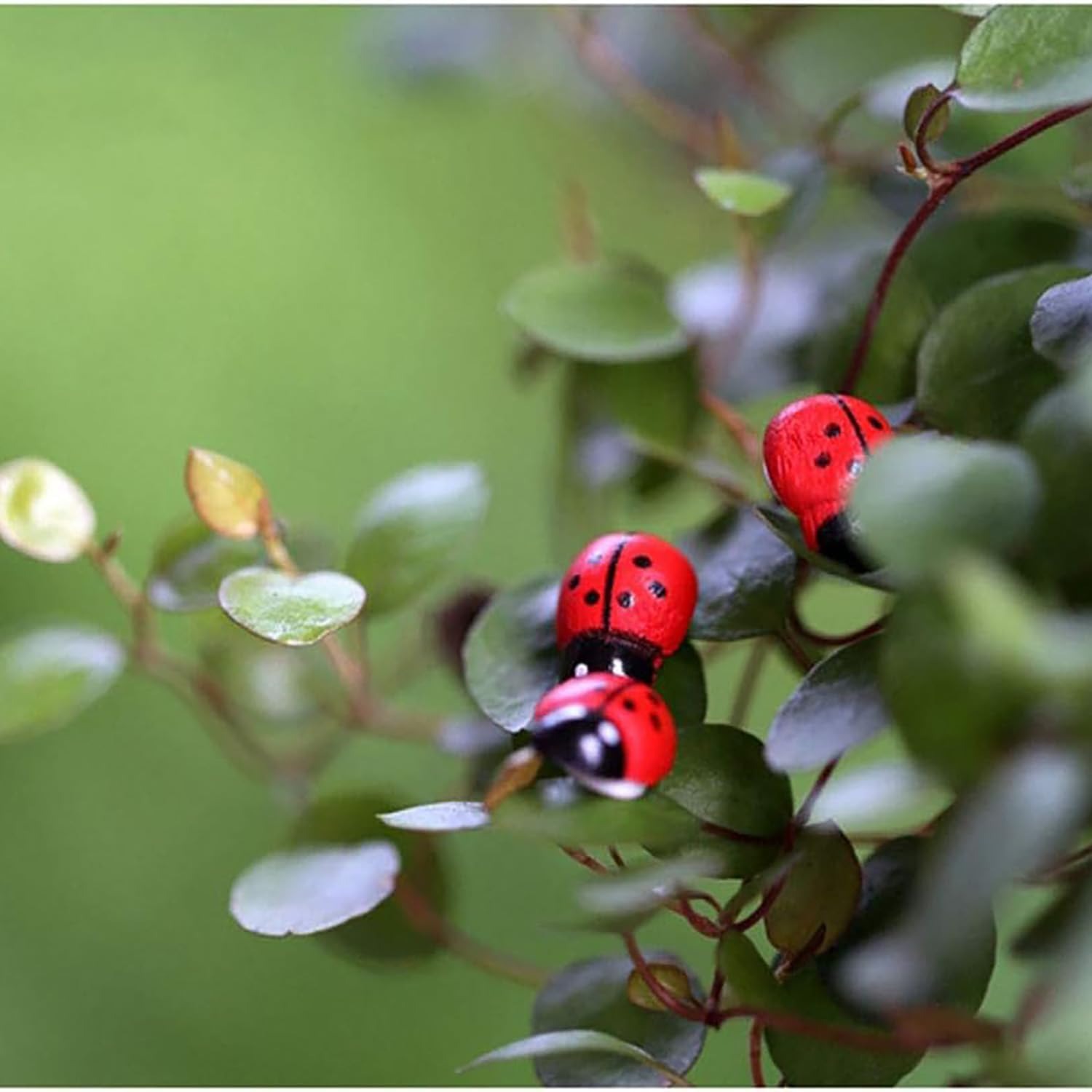100-Pack Wooden Ladybug Sticke - Art Craft Ladybug reseña y precio